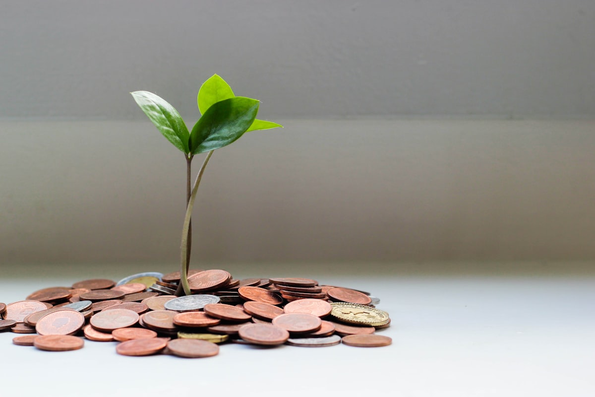 A small green plant growing from a stack of coins — savings compounding over time